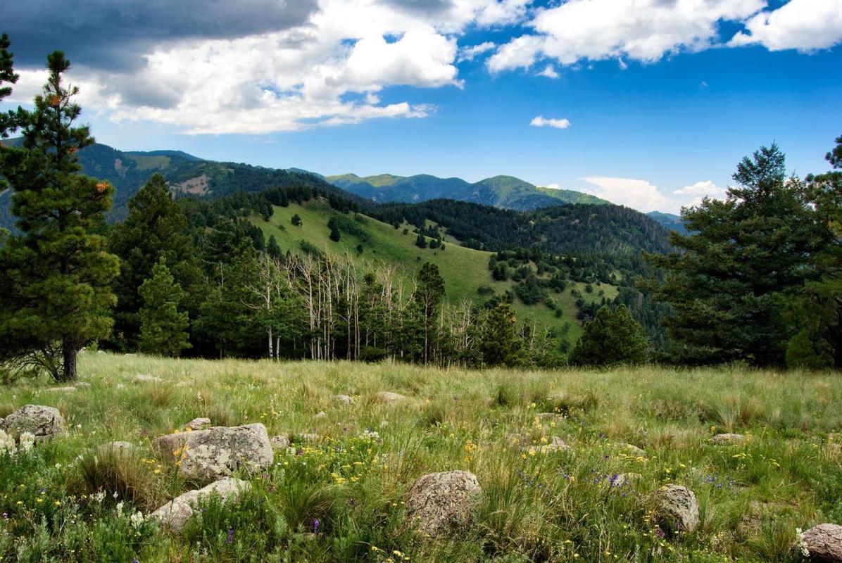 Country Cabin, 2 Bedrooms, Fireplace, Midtown, Sleeps 6 Ruidoso Exterior foto